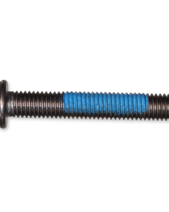 Cross recessed raised cheese head screw M 10 x 60 SST TX50